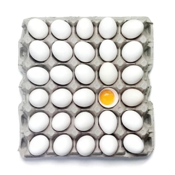 Faire un don de Œufs